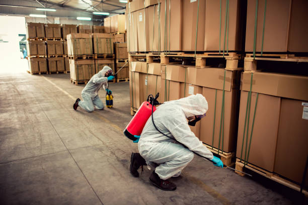 Wasp Removal Services in Zwolle, LA
