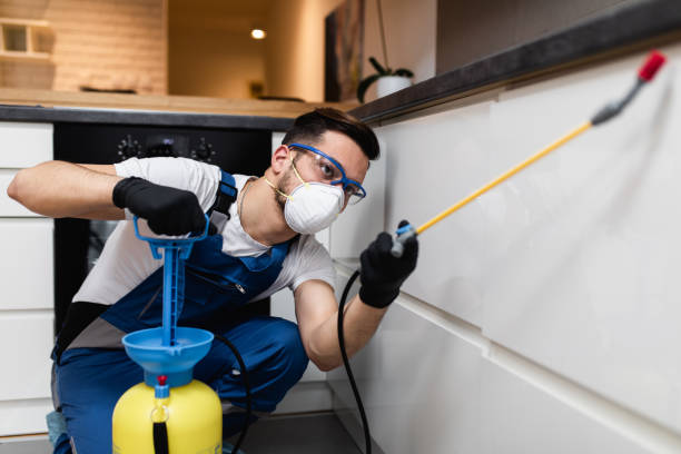 Professional Pest Control in Zwolle, LA