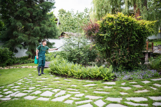 Best Pest Inspection Near Me  in Zwolle, LA