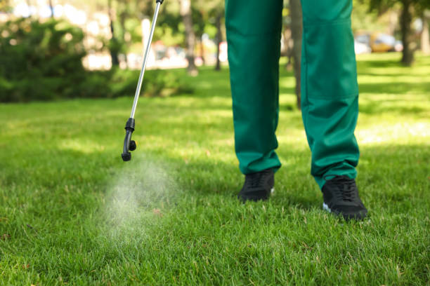 Best Flea Control Services  in Zwolle, LA