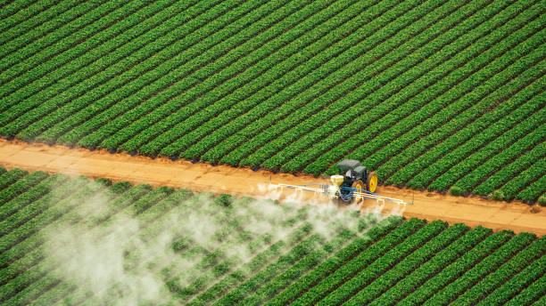Best Pest Control Near Me  in Zwolle, LA