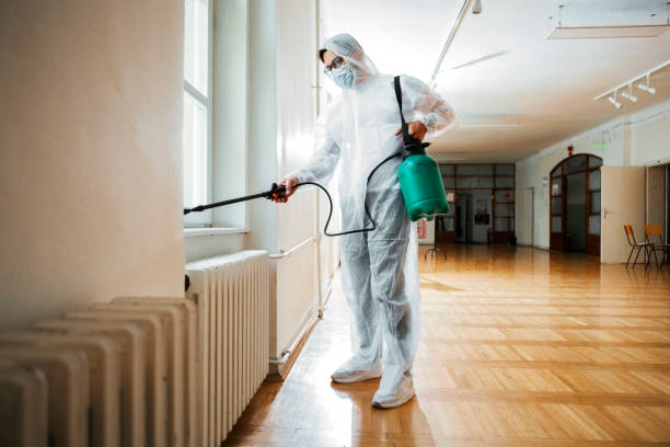 Best Termite Control Services  in Zwolle, LA