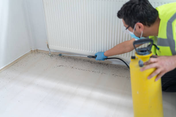 Professional Pest Control in Zwolle, LA