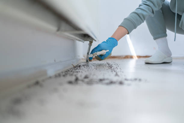 Wildlife Control Services in Zwolle, LA